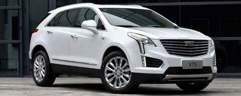 2020xt5ؼ϶ʵ