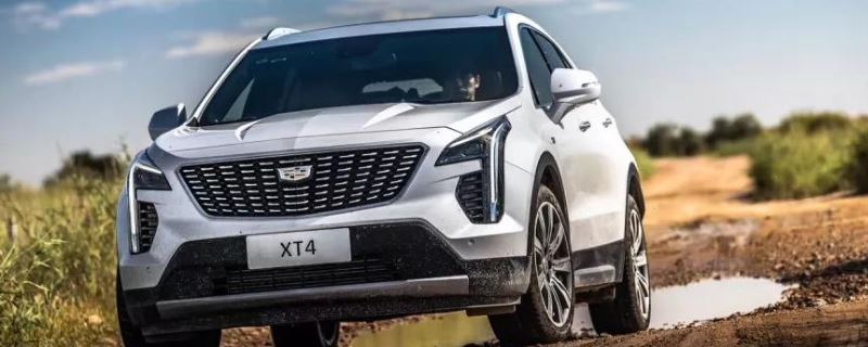 xt4ϸ