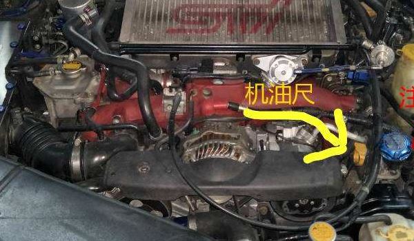 ޻߶