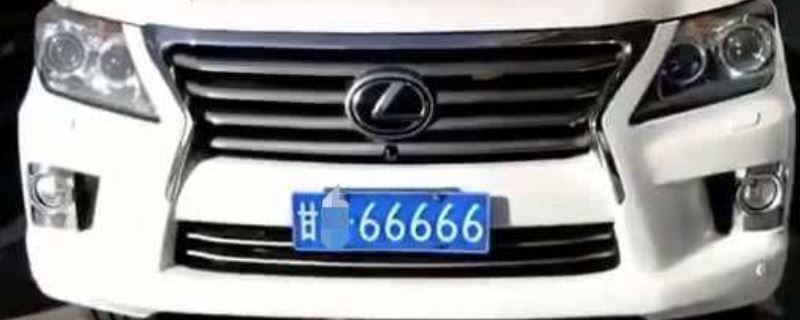 ʡƺĸ