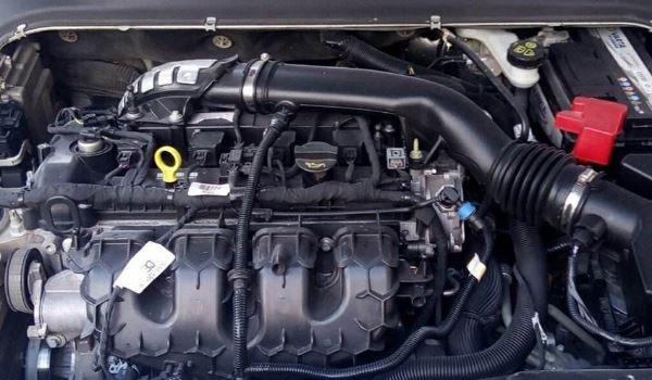 caf488wqe6