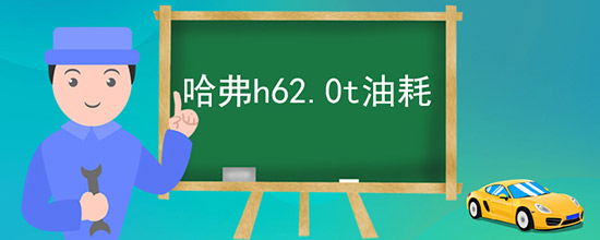 h62.0tͺ
