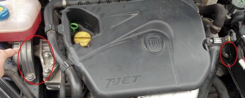 Ų
