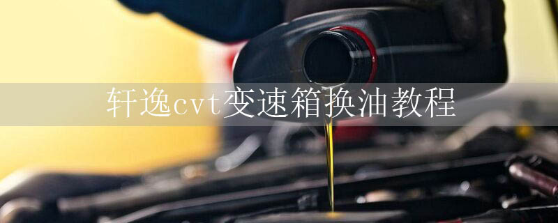 cvt任ͽ̳