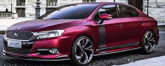 DS5LSһ