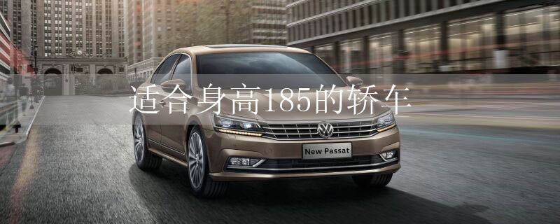 ʺ185Ľγ