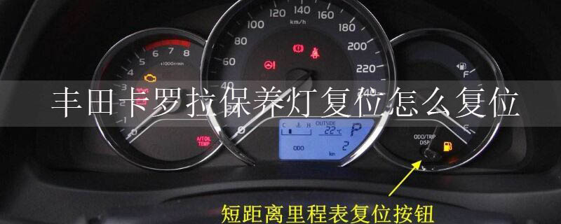 ￨Ƹλôλ
