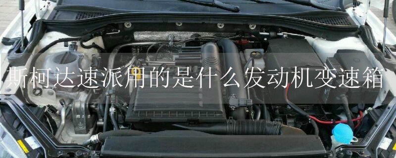 ˹´õʲô