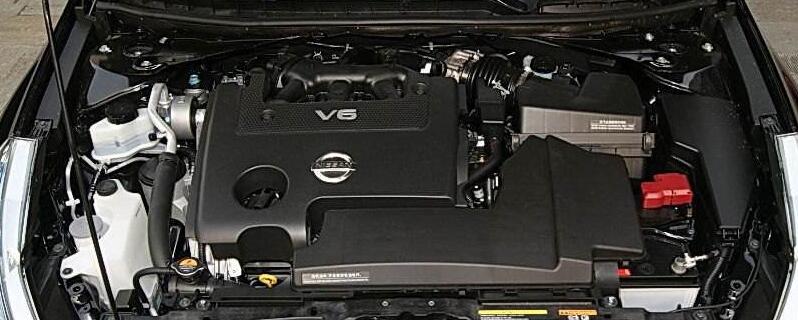 v6v8ʲô
