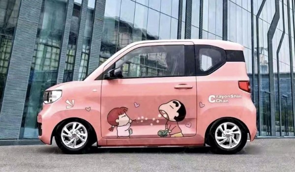 mini evϸ 