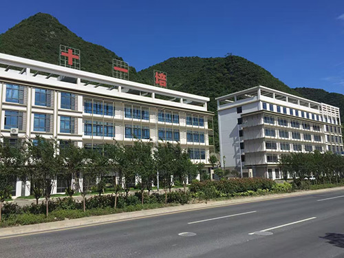 十一驾校