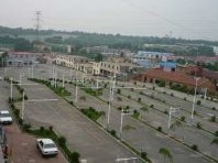 新星驾校
