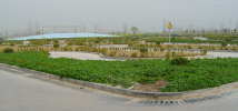 中驰驾校