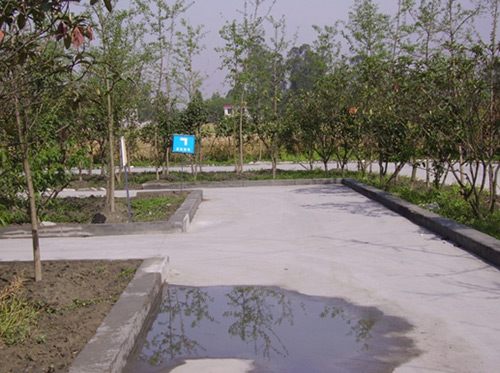 兴顺驾校