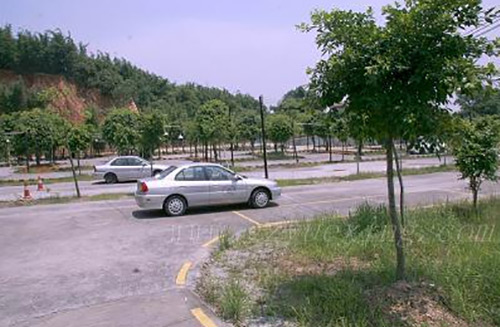 粤兴驾校