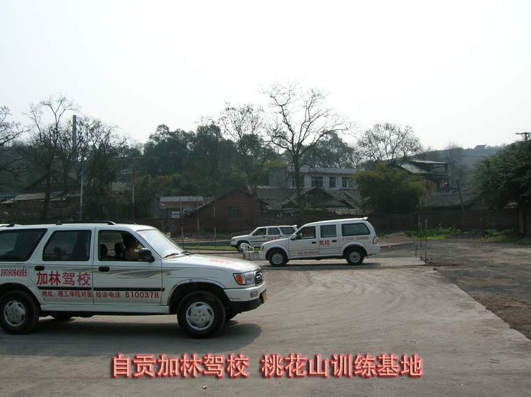 加林驾校