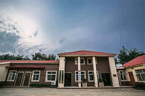 鲁科驾校