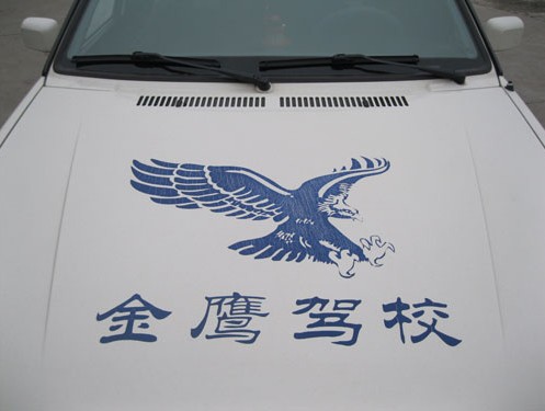 金鹰驾校
